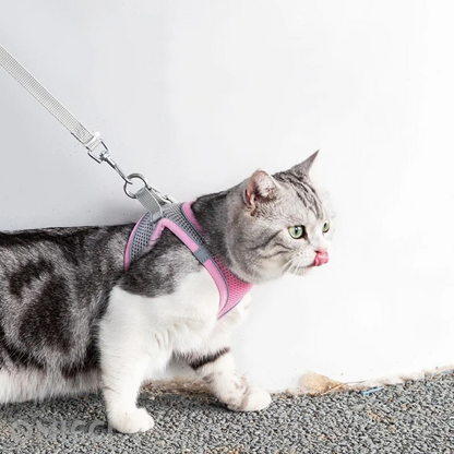 Kitty Harness®