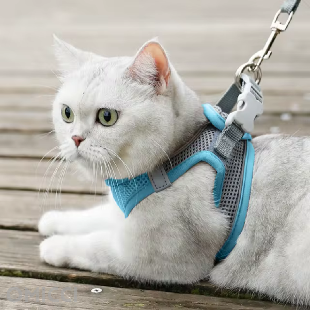 Kitty Harness®