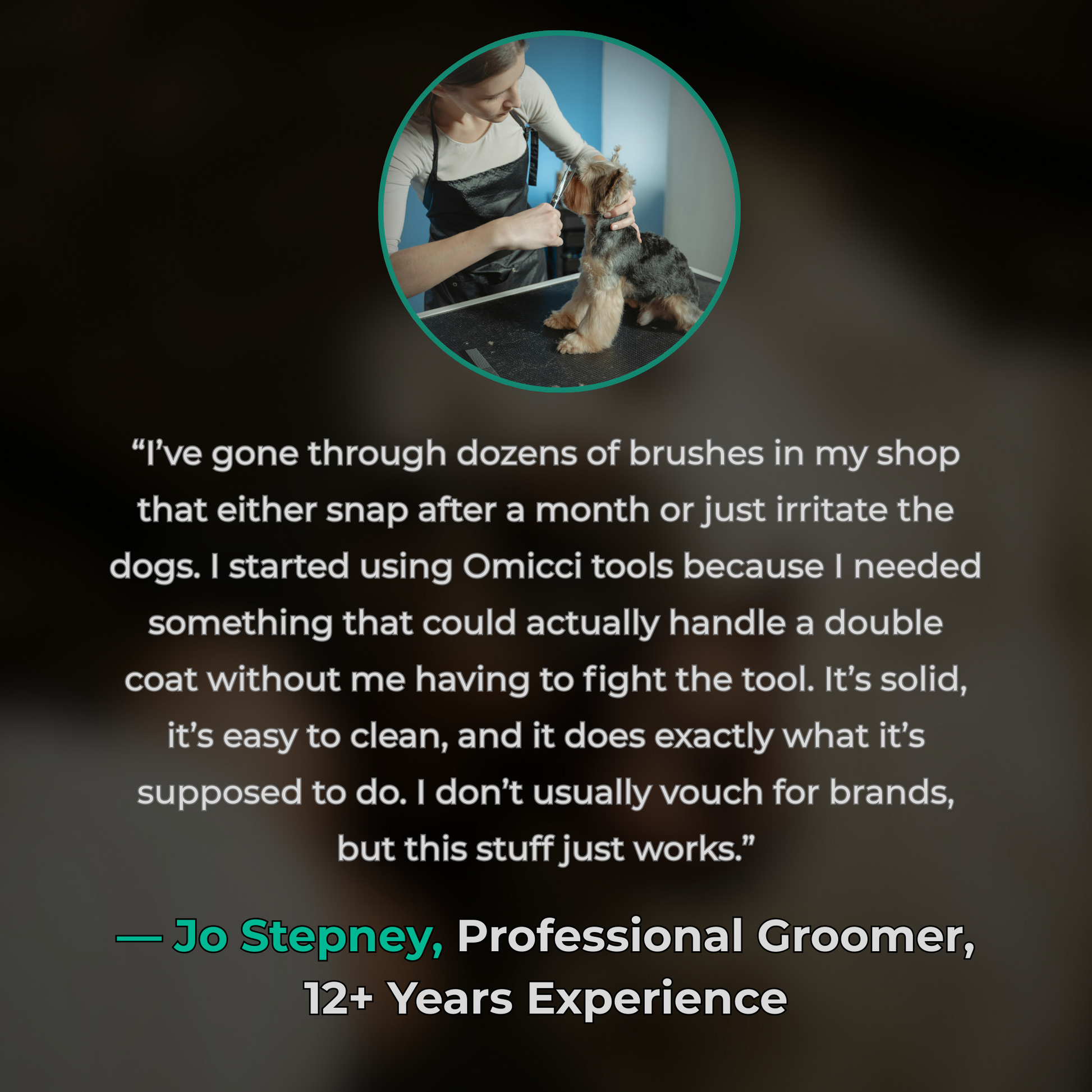 Dog grooming scene with a professional groomer and a dog, featuring a testimonial from a professional groomer about Omicci tools.