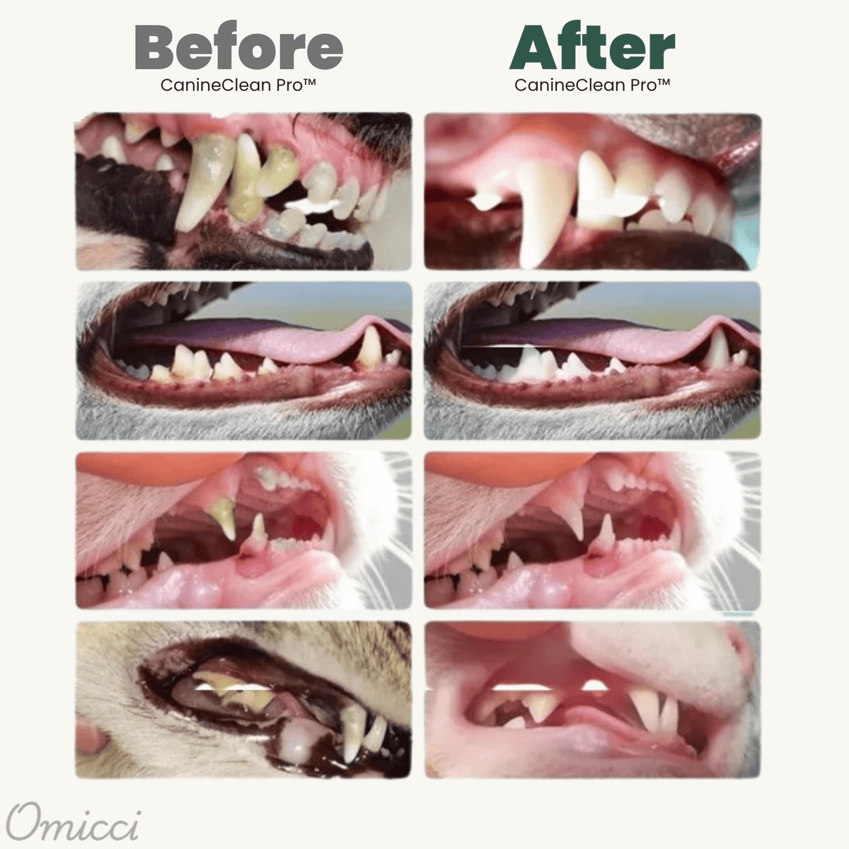 CanineClean Pro™ Pet Oral Care