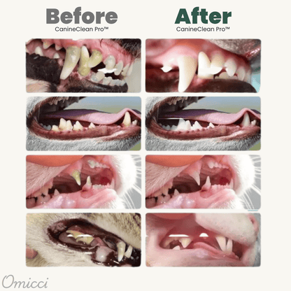 CanineClean Pro™ Pet Oral Care