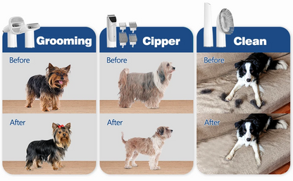 GroomZoom™ Kit