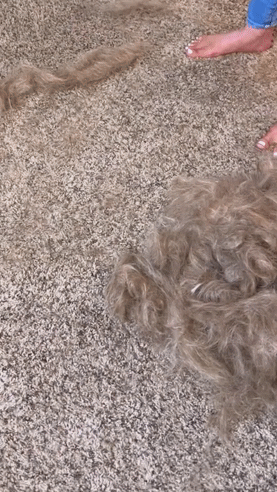 FurSweep™ Pro