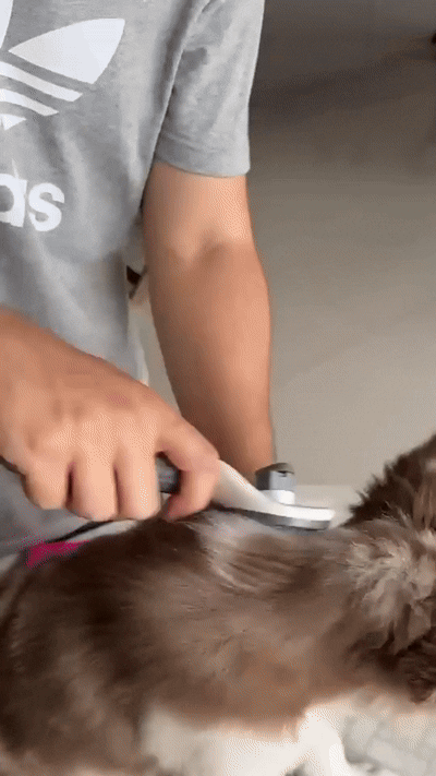 FurPop™ Brush