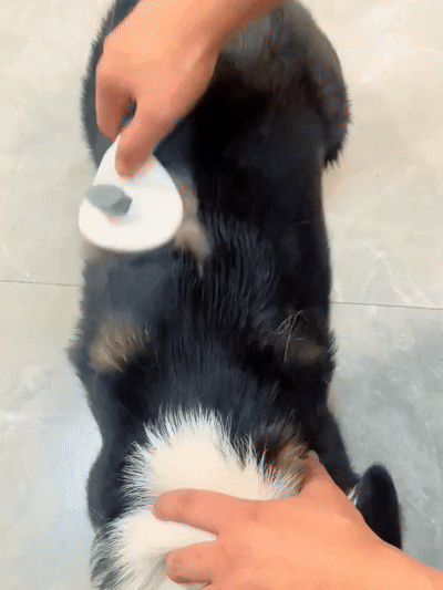 FurPop™ Brush