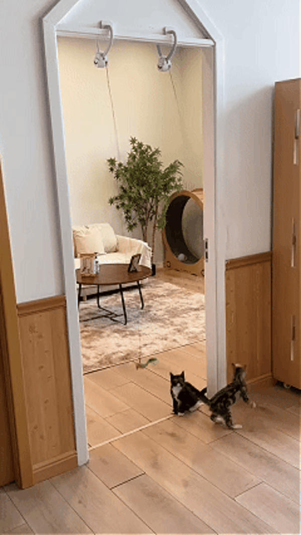 SkyPounce™ Aerial Cat Toy