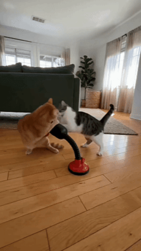 PawBox™ Cat Punching Bag