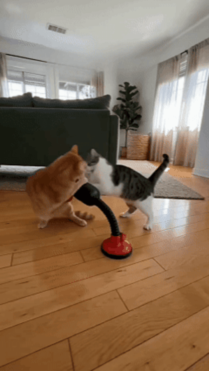 PawBox™ Cat Punching Bag